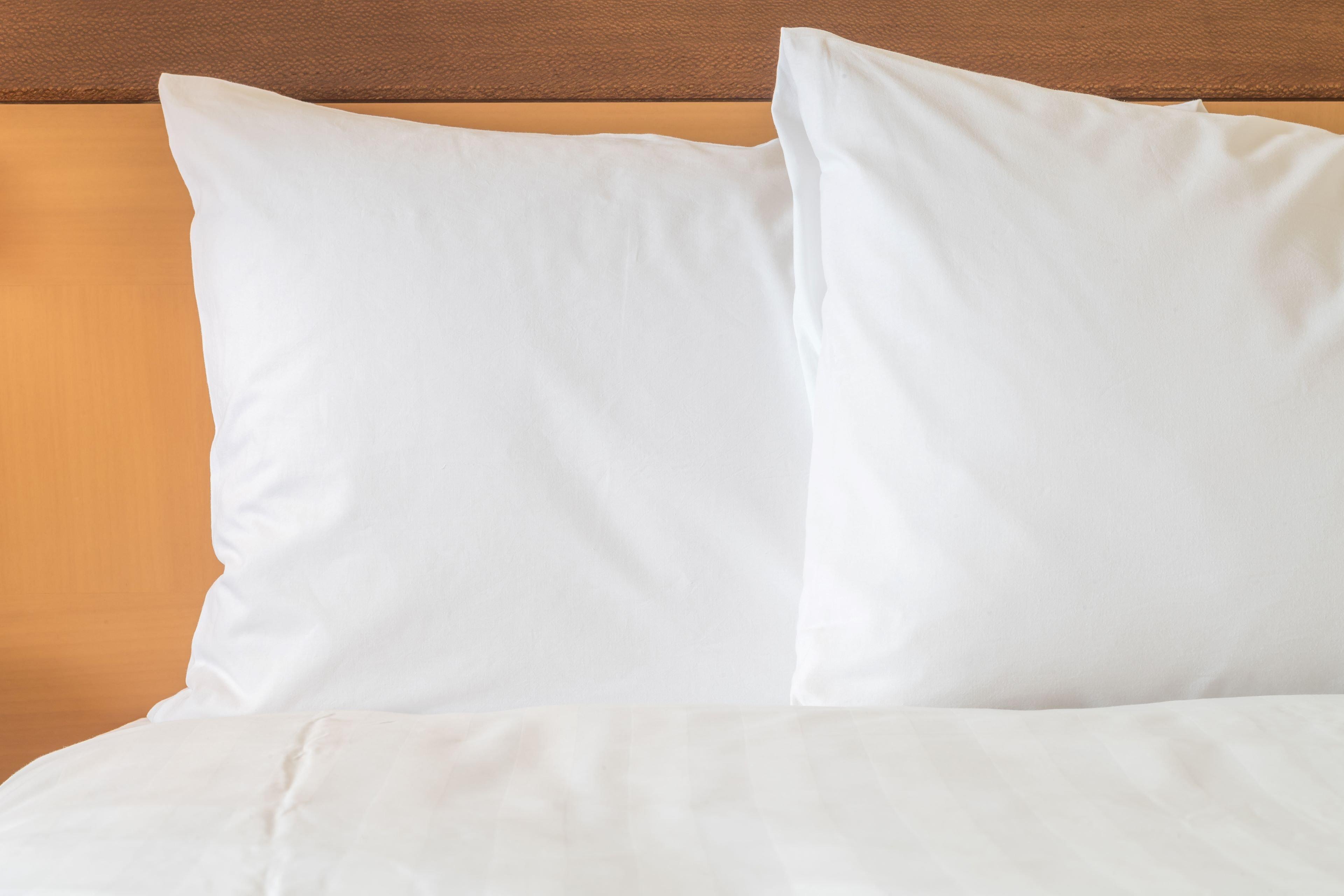 Holiday Inn Express Hotel & Suites Greenwood Buitenkant foto